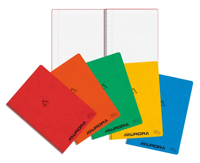 Schrift Aurora A4 lijn 120pag 80gr assorti