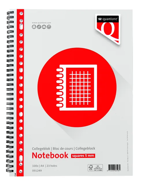 Collegeblok Quantore A4 ruit 5mm 23-gaats 200pg