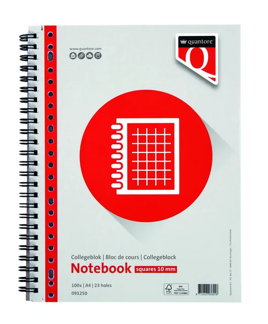 Collegeblok Quantore A4 ruit 10mm 23-gaats 200pg