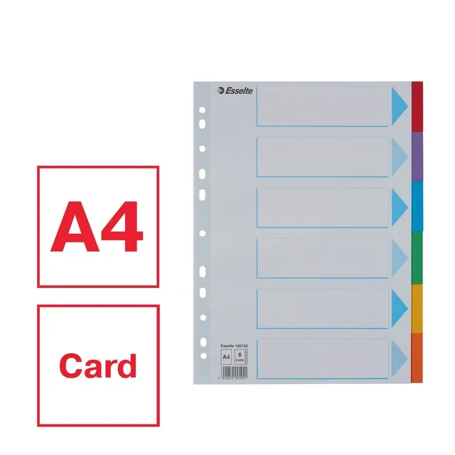 Tabbladen Esselte Stand A4 6dlg karton 11r ass