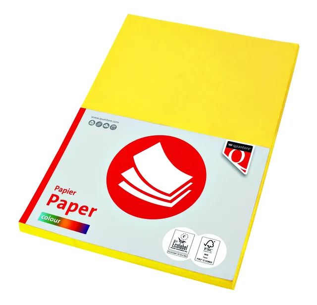 Kopieerpapier Quantore Col-50 A4 160gr geel