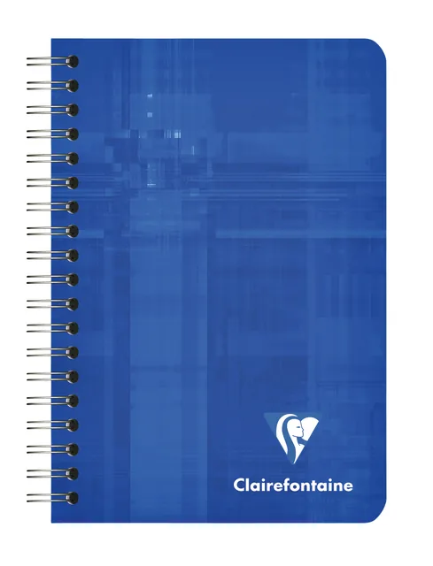 Notitieboek Clairefontaine 95x140 5x5 100blz ass