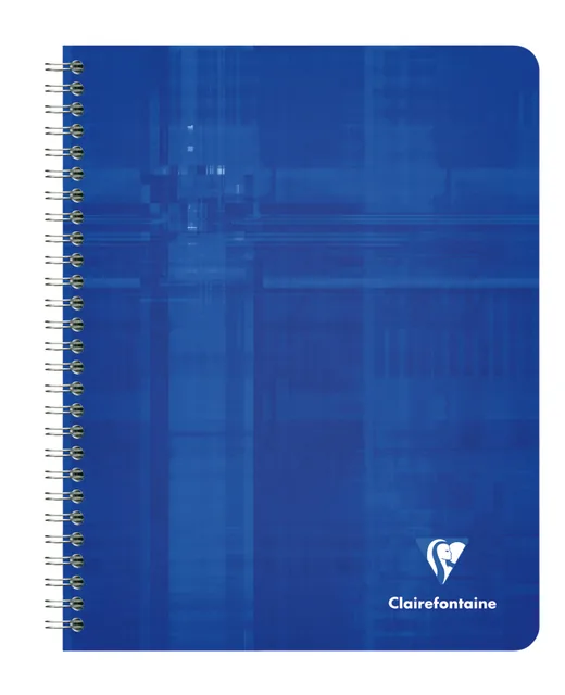 Schrift Clairefontaine A5+ ruit 5x5mm 120pag 90gr