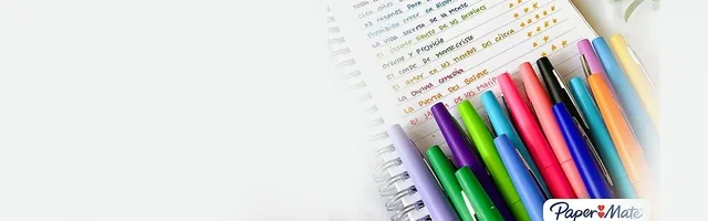 Fineliner Papermate Flair Metallic M 6st assorti