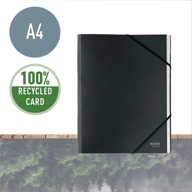 SORTEERMAP LEITZ RECYCLE 12-TABS ZWART