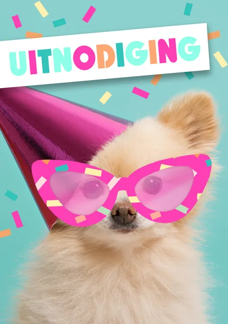 Wenskaart Hallmark uitnodiging hond 5 stuks