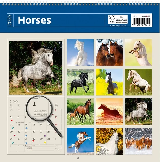 Kalender 2027 30x30cm paarden