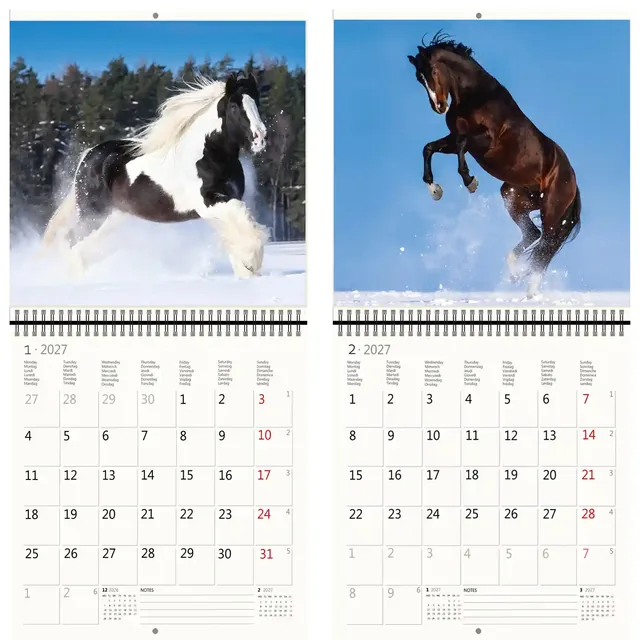 Kalender 2027 30x30cm paarden