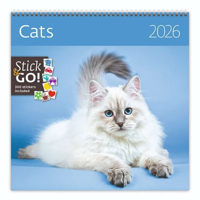 Kalender 2027 30x30cm katten