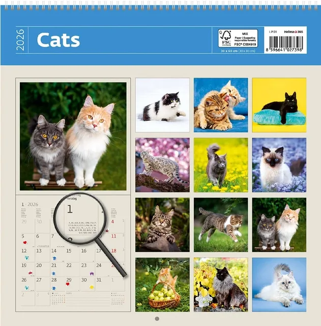Kalender 2027 30x30cm katten