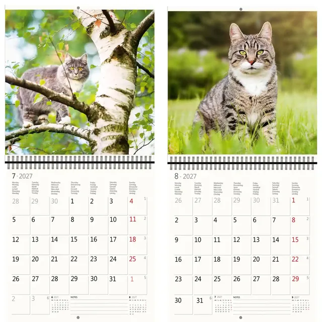 Kalender 2027 30x30cm katten
