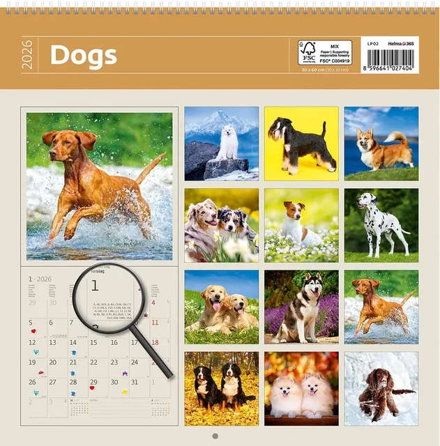 Kalender 2027 30x30cm honden