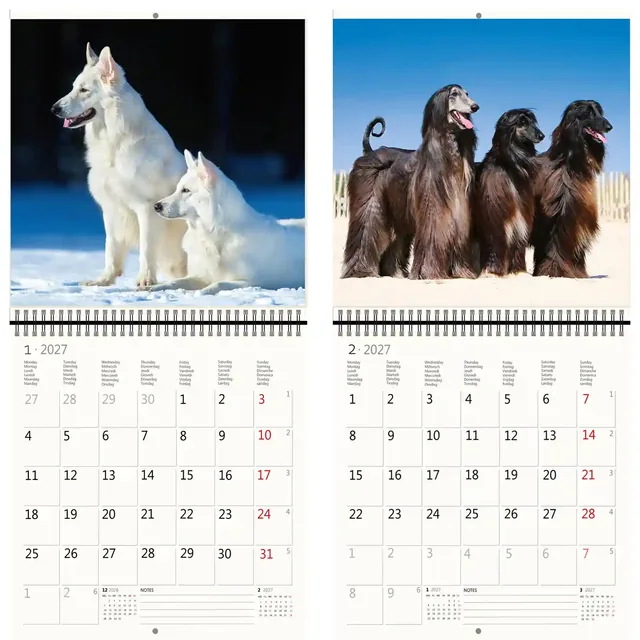 Kalender 2027 30x30cm honden
