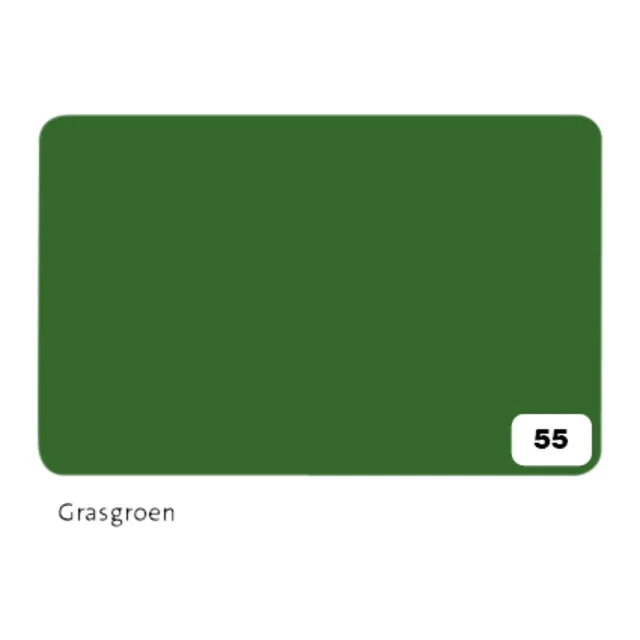 Fotokarton Folia 300gr 50x70cm 55 grasgroen