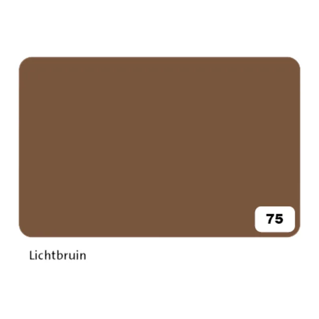 Fotokarton Folia 300gr 50x70cm 75 reebruin