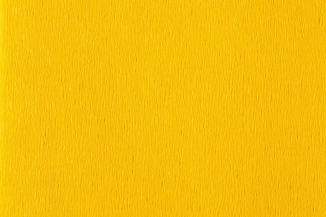 Crepepapier Folia 50x250cm 10vel 106 geel