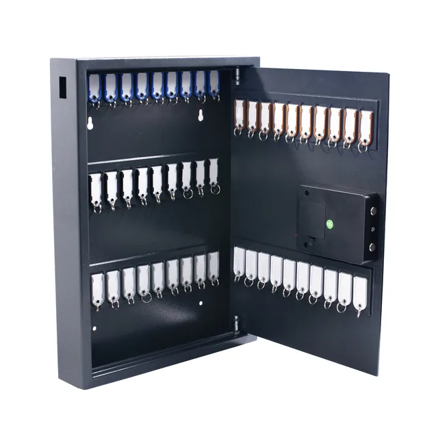 Sleutelkast Pavo high security magnetisch 50 haken
