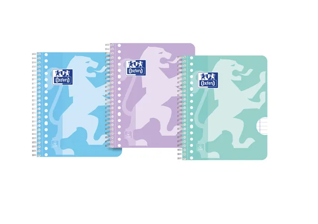 Collegeblk Oxf School A5+ ln 17gaats 160pag pastel