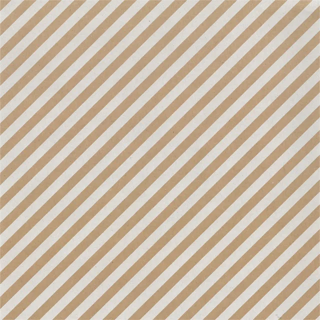 Apparaatrol Special Wrap 200mx30cm kraft streep wt