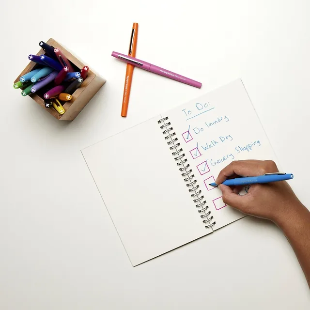 Fineliner Papermate Flair Retro M 16st assorti