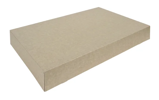 Cateringdoos IEZZY 55cm  plasticvrij bruin