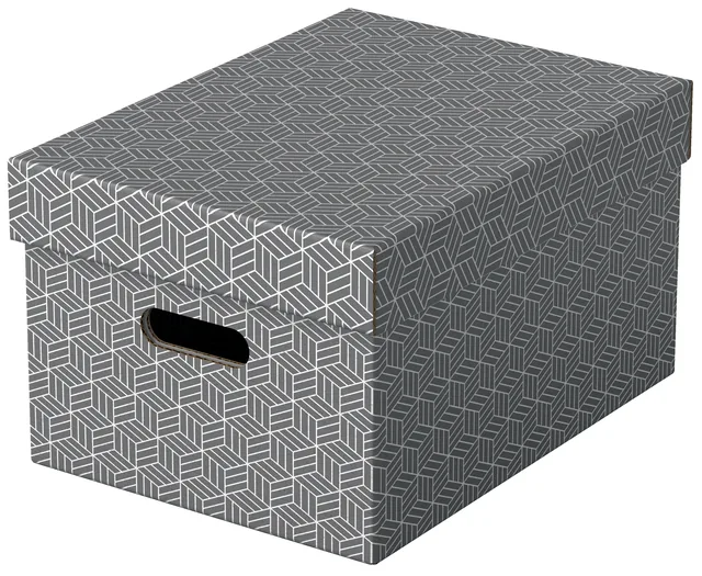 Opbergdoos Esselte 265x205x365mm grijs 3 st