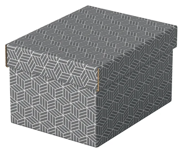 Opberg en geschenkdoos Esselte 200x150x255