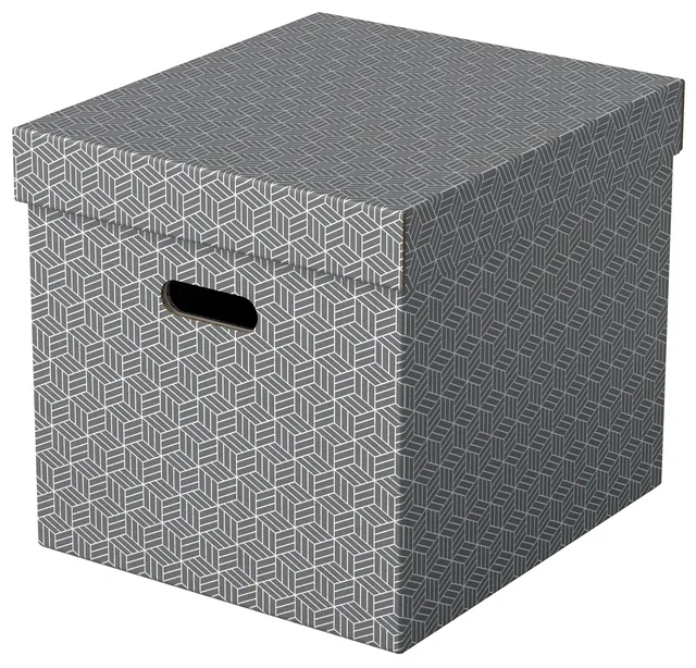 Opbergdoos Esselte 320x315x365mm grijs 3 st