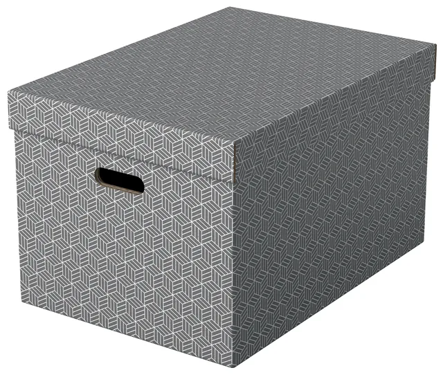 Opbergdoos Esselte 355x305x510mm grijs 3 st