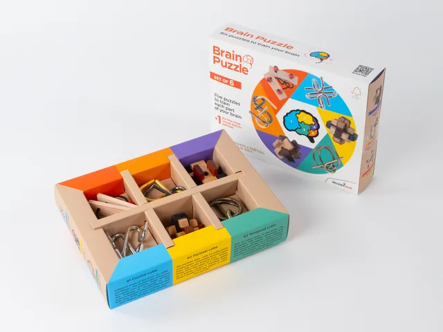 Brain Puzzles - set of 6