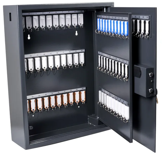 Sleutelkast Pavo magnetisch fingerprint 100 haken