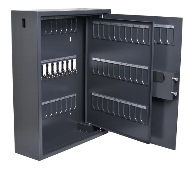Sleutelkast Pavo magnetisch fingerprint 100 haken