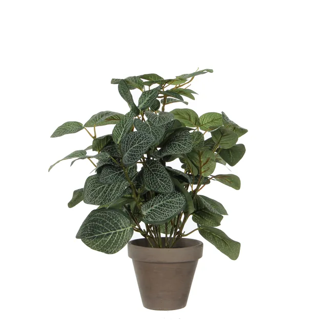 Kunstplant Mica Pilea in pot 35x25cm