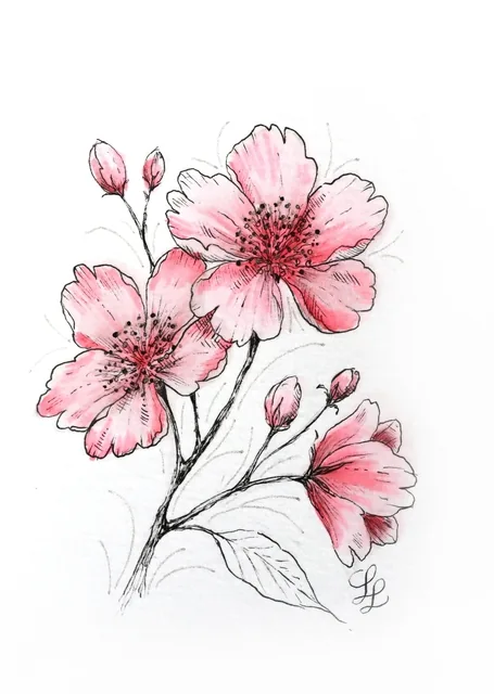 Tekenset Sakura Creative Kit Cherry Blossom