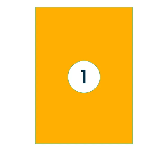 Etiket Rillprint 210x297mm fluor oranje 100st