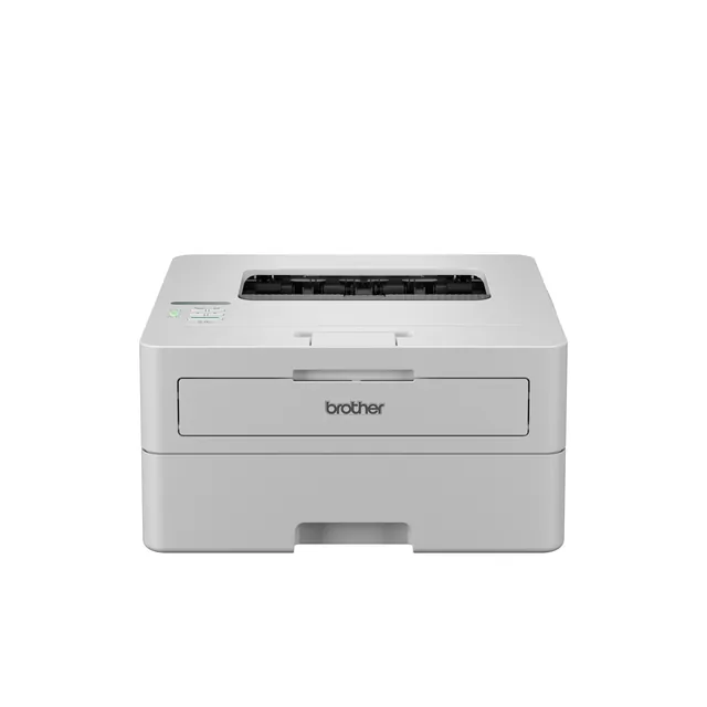 Printer Laser Brother HL-L2865DW