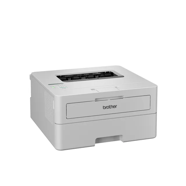 Printer Laser Brother HL-L2865DW