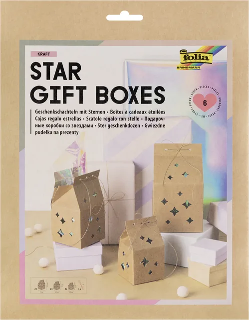 Giftbox Folia Star kraft set 6 stuks