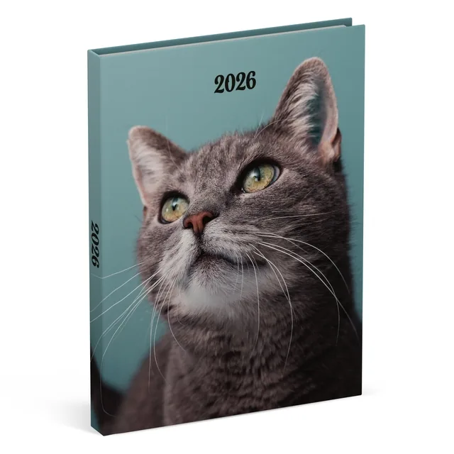 Agenda 2026 Lannoo My favourite friends 7d/2p cats