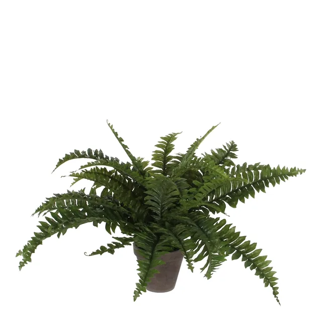 Kunstplant Mica Boston varen groen in pot
