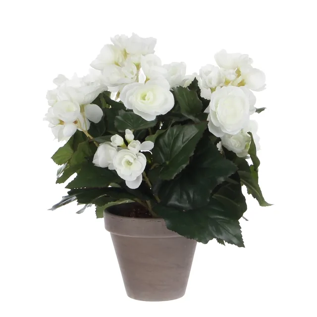 Kunstplant Mica Begonia wit in pot Stan grijs