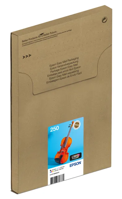 Inktcartridge Epson 250 T16N84 zw + 5 kl Easymail