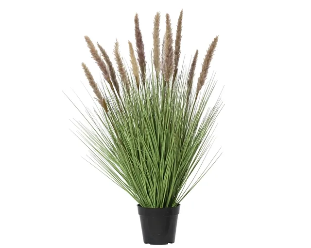 Kunstgras Everlands met pluimen 80cm bruin