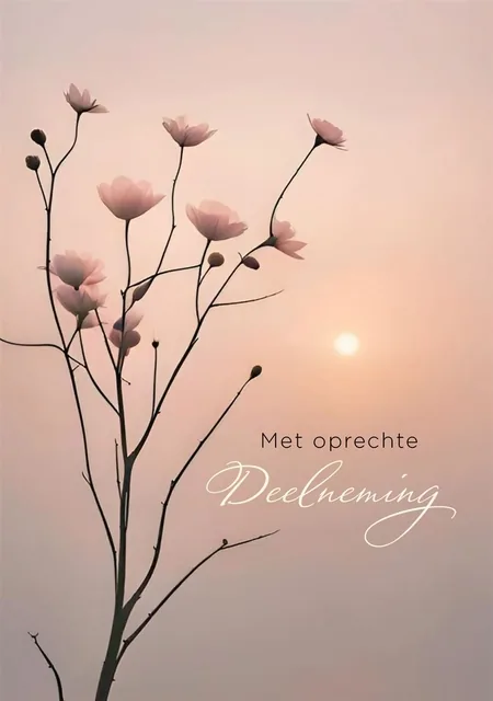 Wenskaart Hallmark condoleance bloemen 6 stuks
