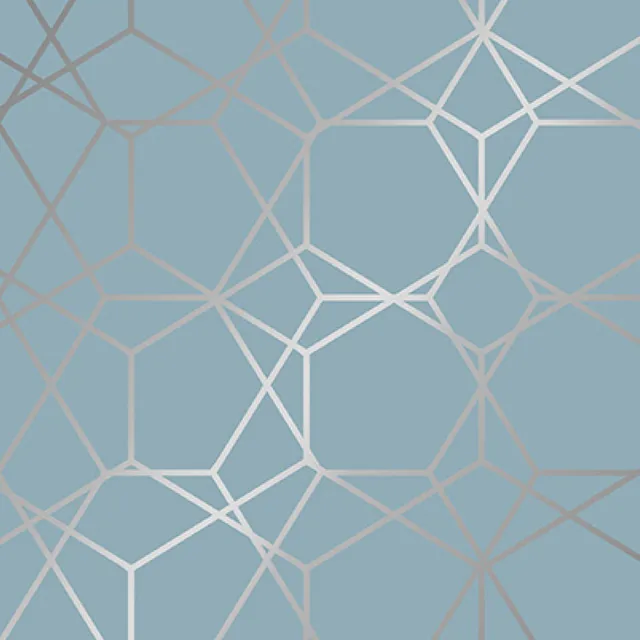 Apparaatrol Diamond Greyblue 200mx30cm