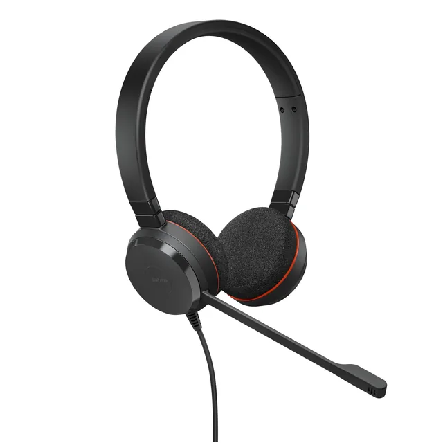 Headset Jabra Evolve 20 USB C/A MS Stereo