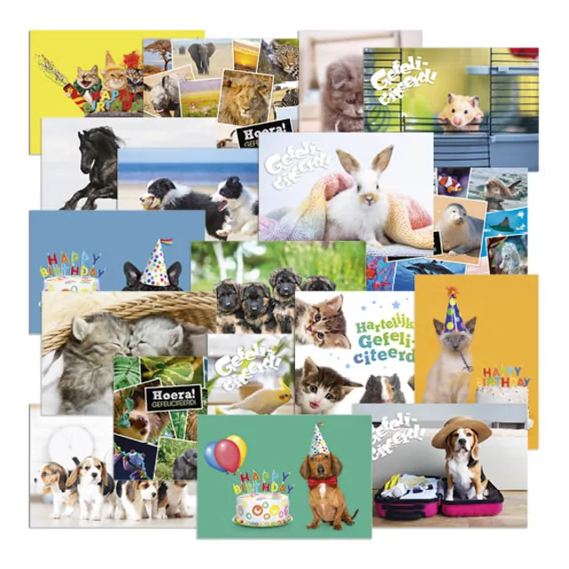 Beloningsposter-kaart De Stulp dieren A4 assorti