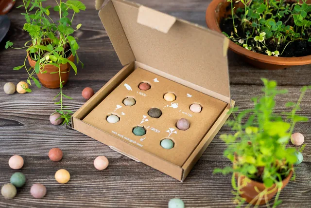 Giftbox Blossombs box à 9 zaadbommetjes
