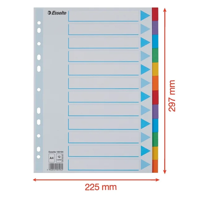 Tabbladen Esselte Stand A4 12dlg karton 11r ass