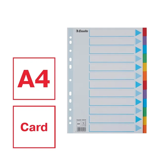 Tabbladen Esselte Stand A4 12dlg karton 11r ass
